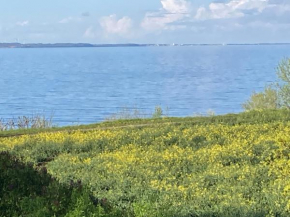 Ferienwohnung mit Meerblick